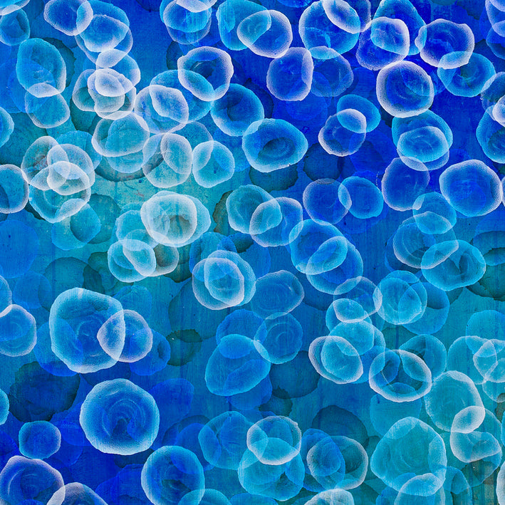 Aqueous Pulse IV - Large Original Abstract Jellyfish Painting