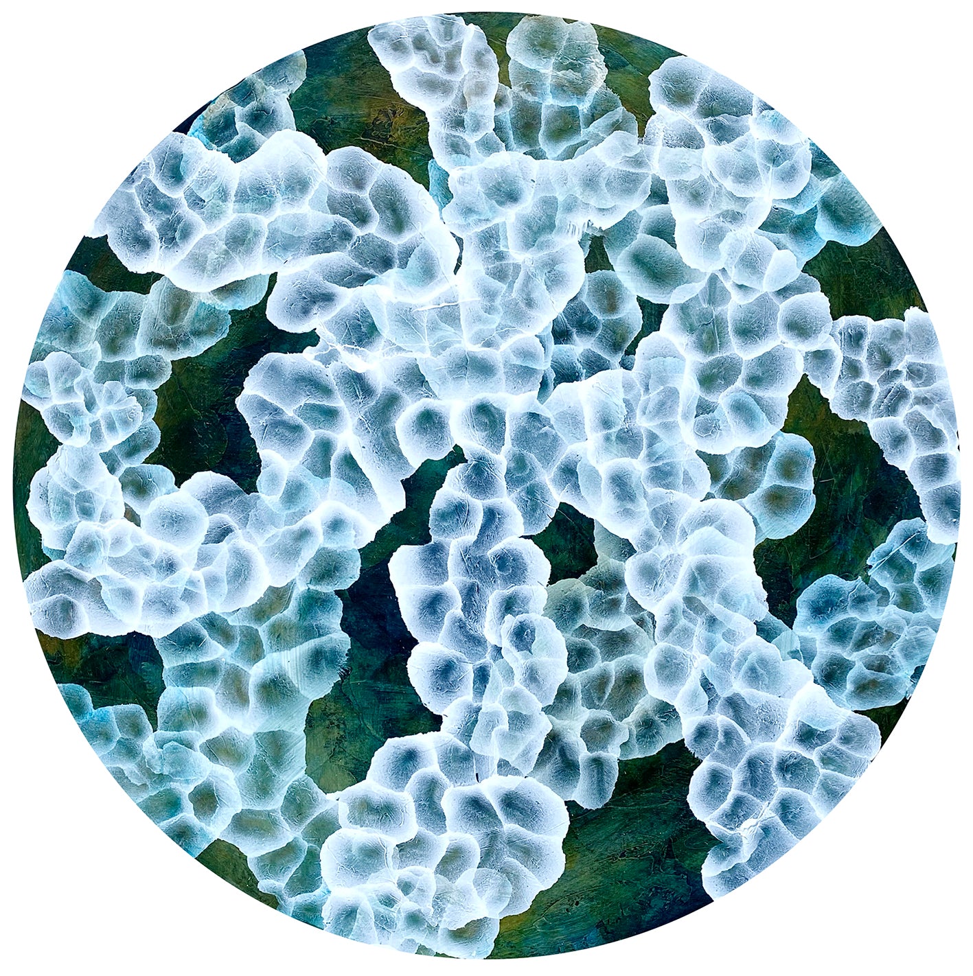 Bio-Sphere Rockpool Bloom – Abstract Painting on Round Wood inspired by sea-life