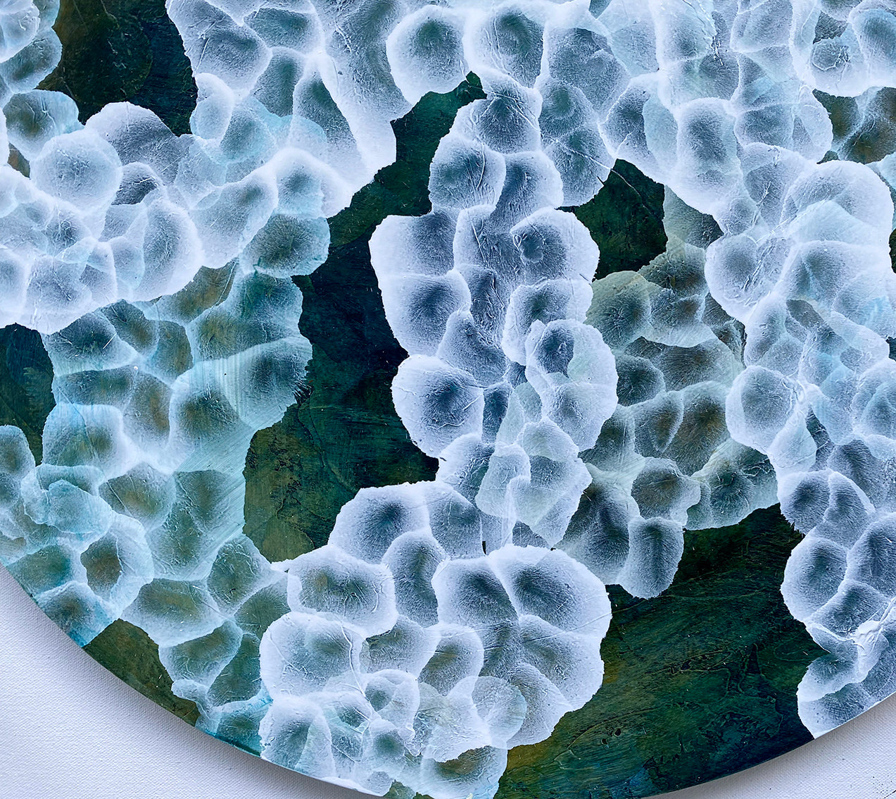 Bio-Sphere Rockpool Bloom – Abstract Painting on Round Wood inspired by sea-life