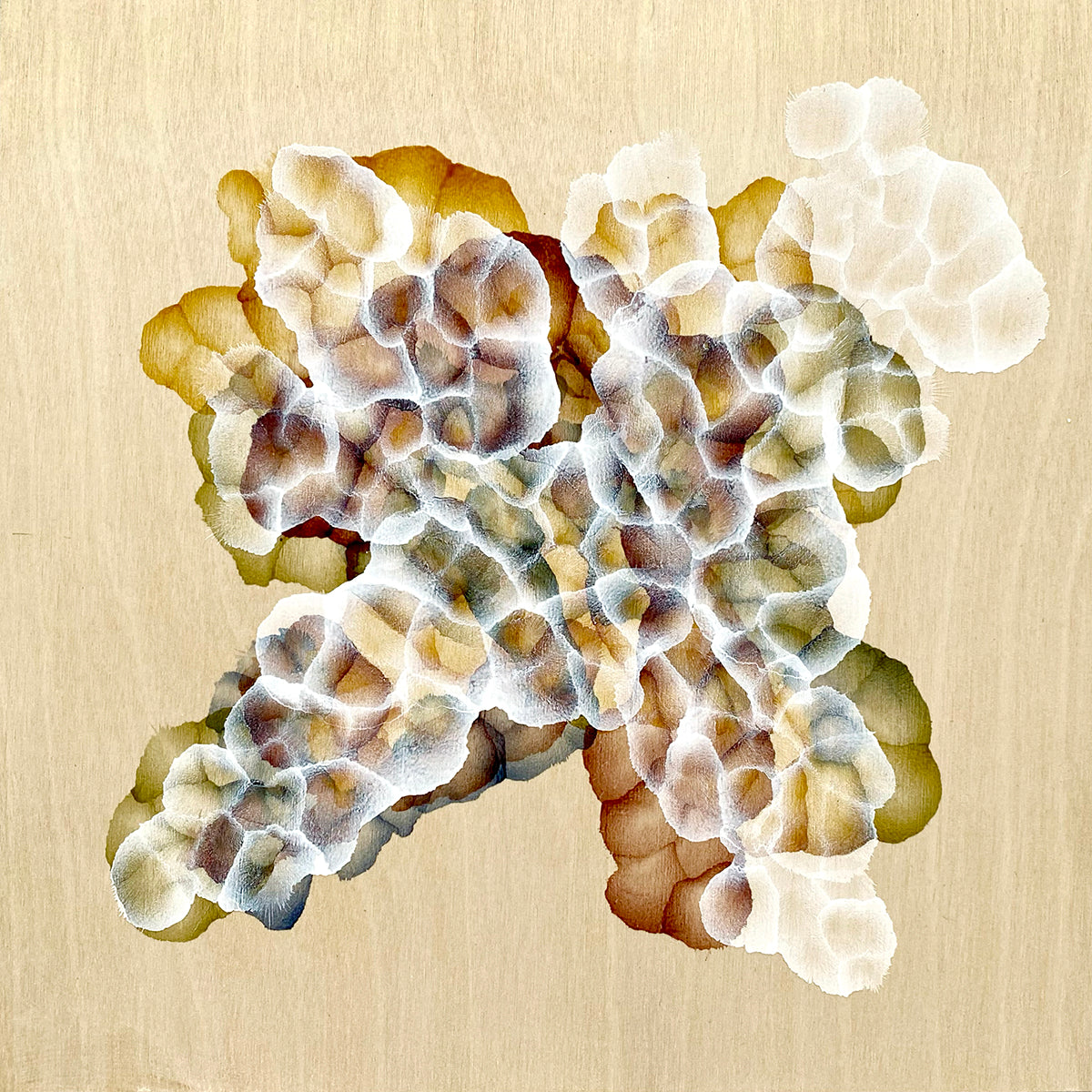 Bio-Cluster Reef Bloom III – Original Abstract Painting