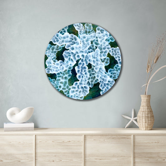 Bio-Sphere Rockpool Bloom – Abstract Painting on Round Wood inspired by sea-life