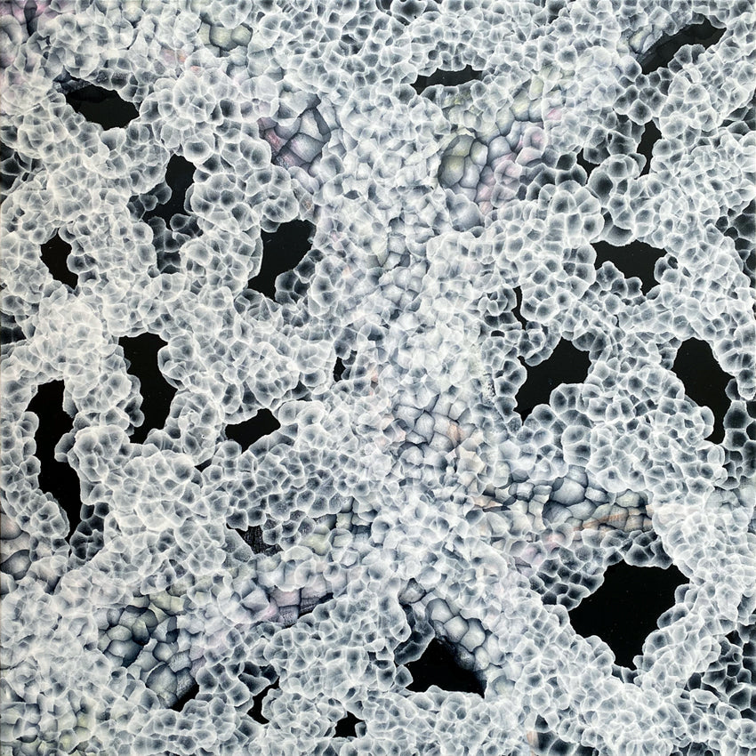 Aqueous Bloom Rock Pool Musings V - Large Abstract Sealife Painting