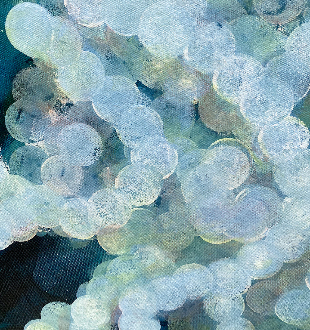 Bio Bloom Luminous I - Abstract Sealife Painting 76cm x 76cm