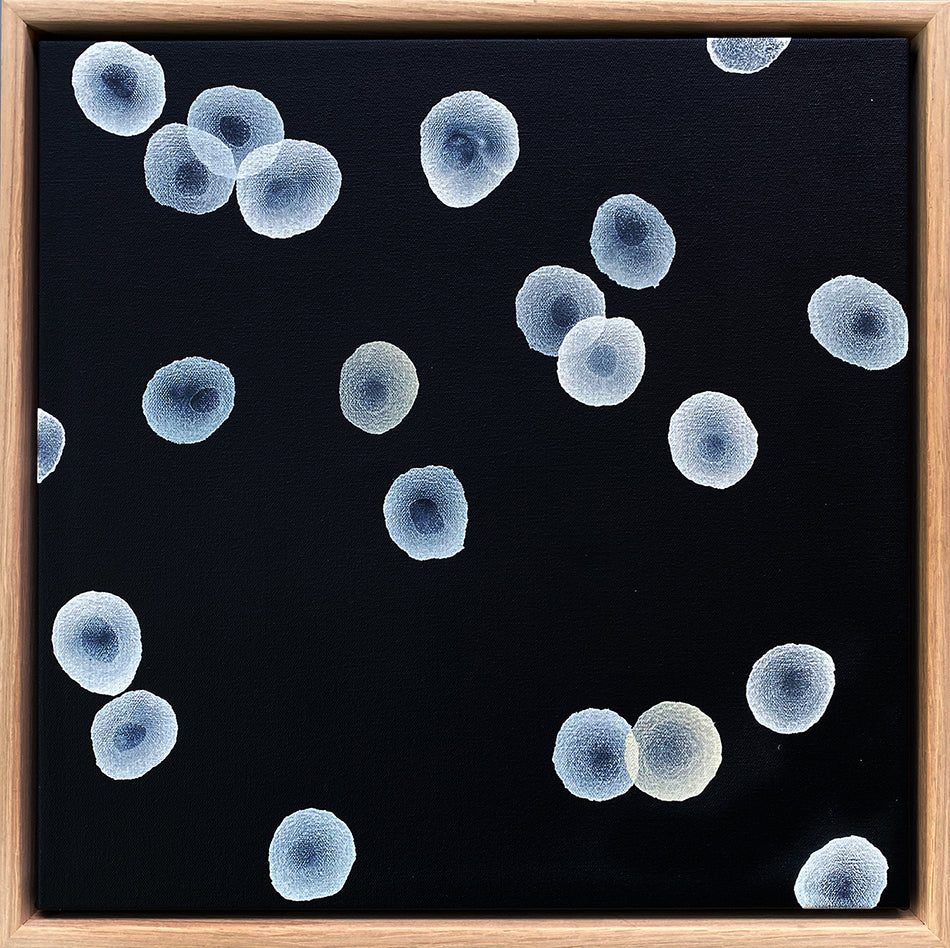 Orbicular Echo V - Abstract Monochrome Painting