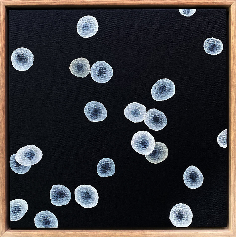 Orbicular Echo VI - Abstract Monochrome Painting