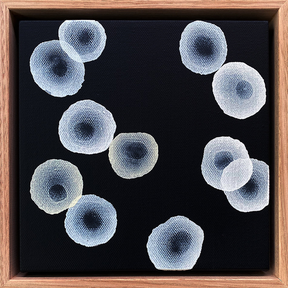 Orbicular Echo II - Abstract Monochrome Painting
