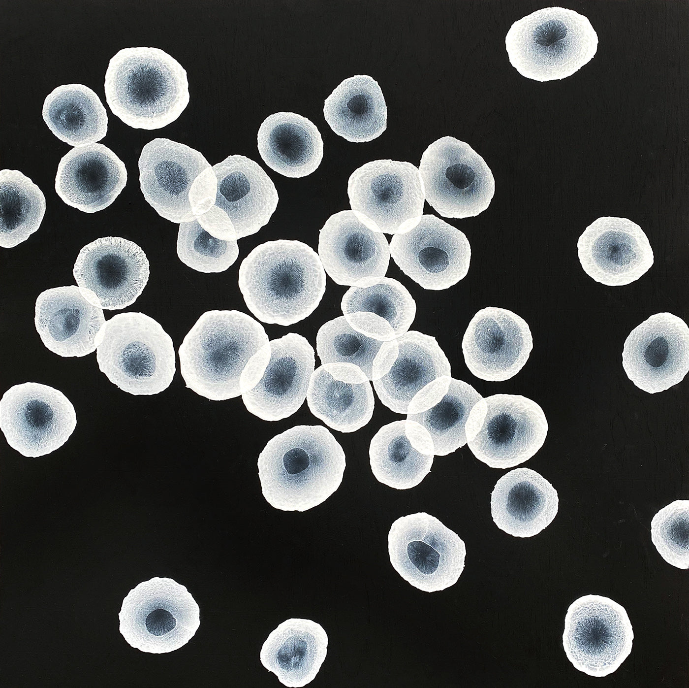 Orbicular Song II - Abstract Monochrome Painting