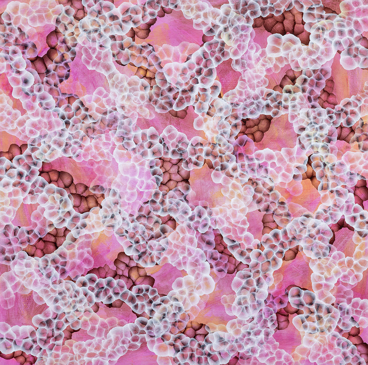 Rock Pool Blooms IV - Abstract Pink Sealife Painting Framed