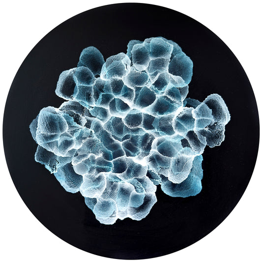 Bio Sphere – Rockpool Bloom II Original Ocean Art Painting on Round Panel