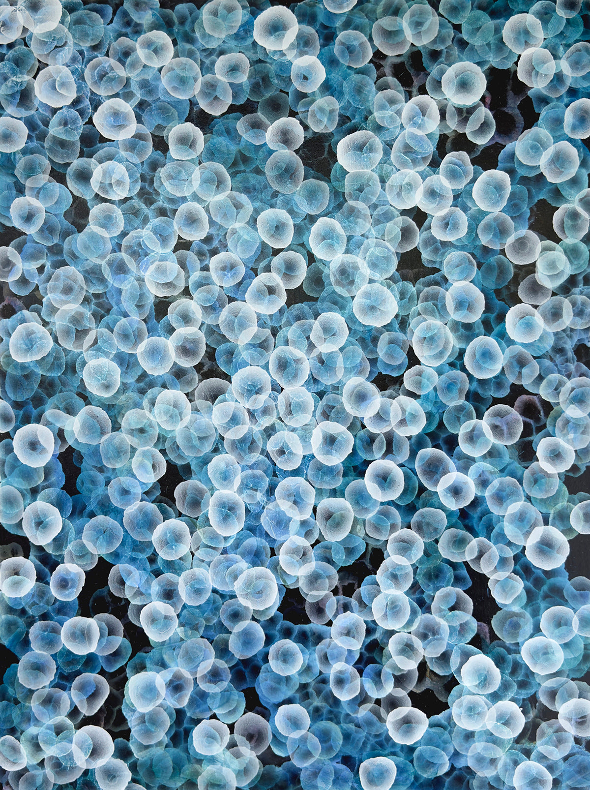 Bioluminous Drift II an Original Abstract Sea Painting