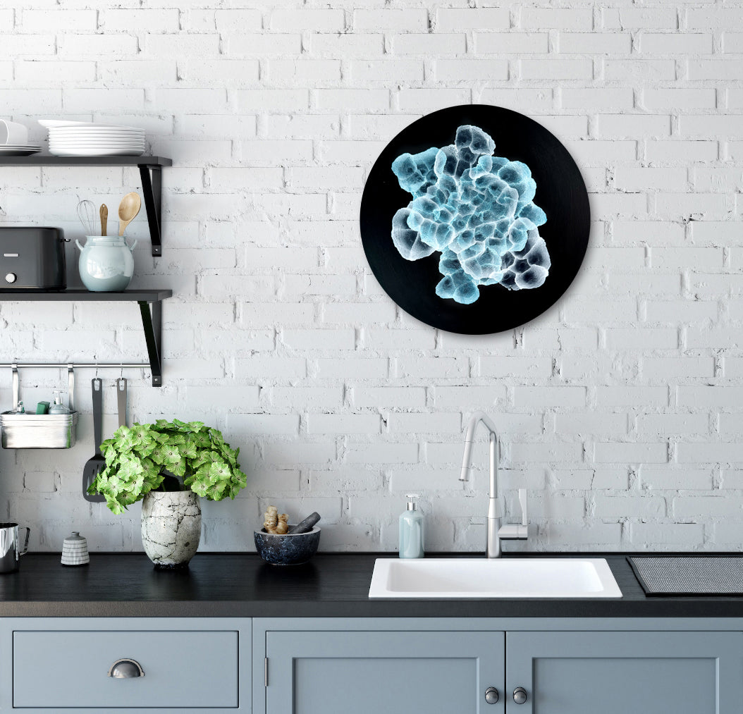 Bio Sphere – Rockpool Bloom III Original Ocean Art Painting on 30cm Round Wood Panel