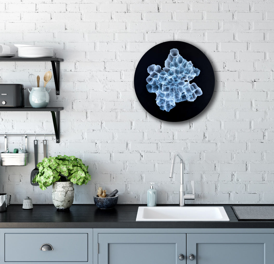 Bio Sphere – Rockpool Bloom Original Ocean Art Painting on Round Panel
