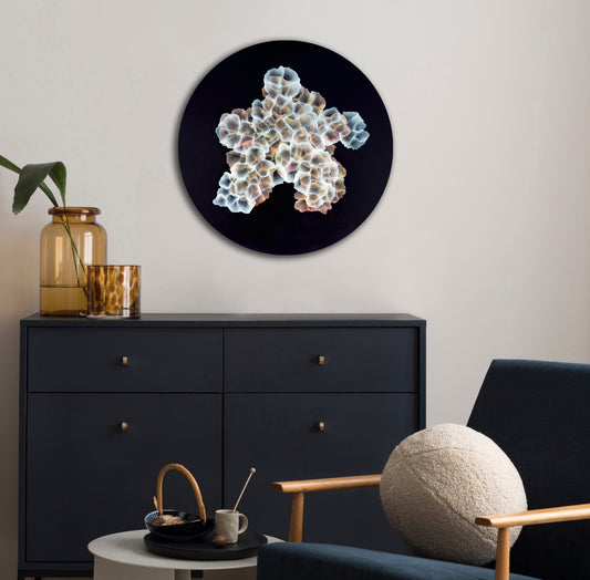 Bio Sphere – Rockpool Bloom II Original Ocean Art Painting on Round Panel