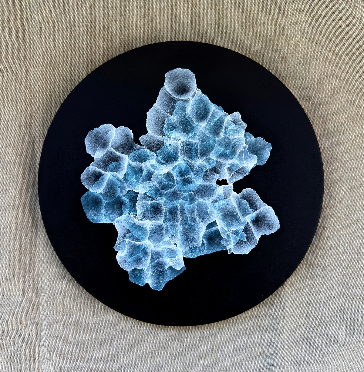 Bio Sphere – Rockpool Bloom Original Ocean Art Painting on Round Panel