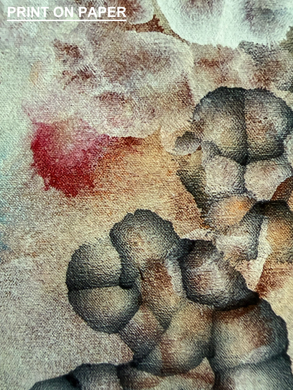 Rock Pool Blooms I — Limited Edition Fine Art Print