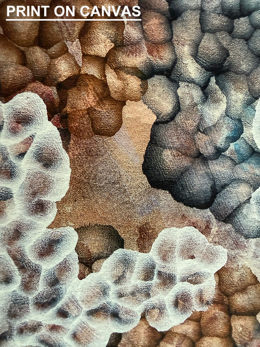 Rock Pool Blooms I — Limited Edition Fine Art Print
