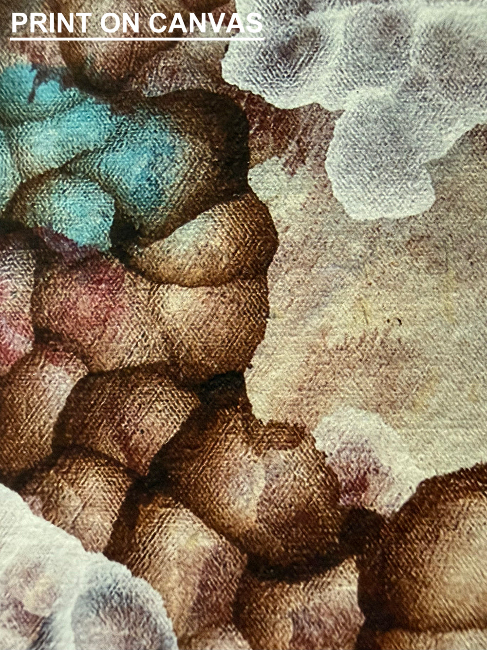Rock Pool Blooms I — Limited Edition Fine Art Print