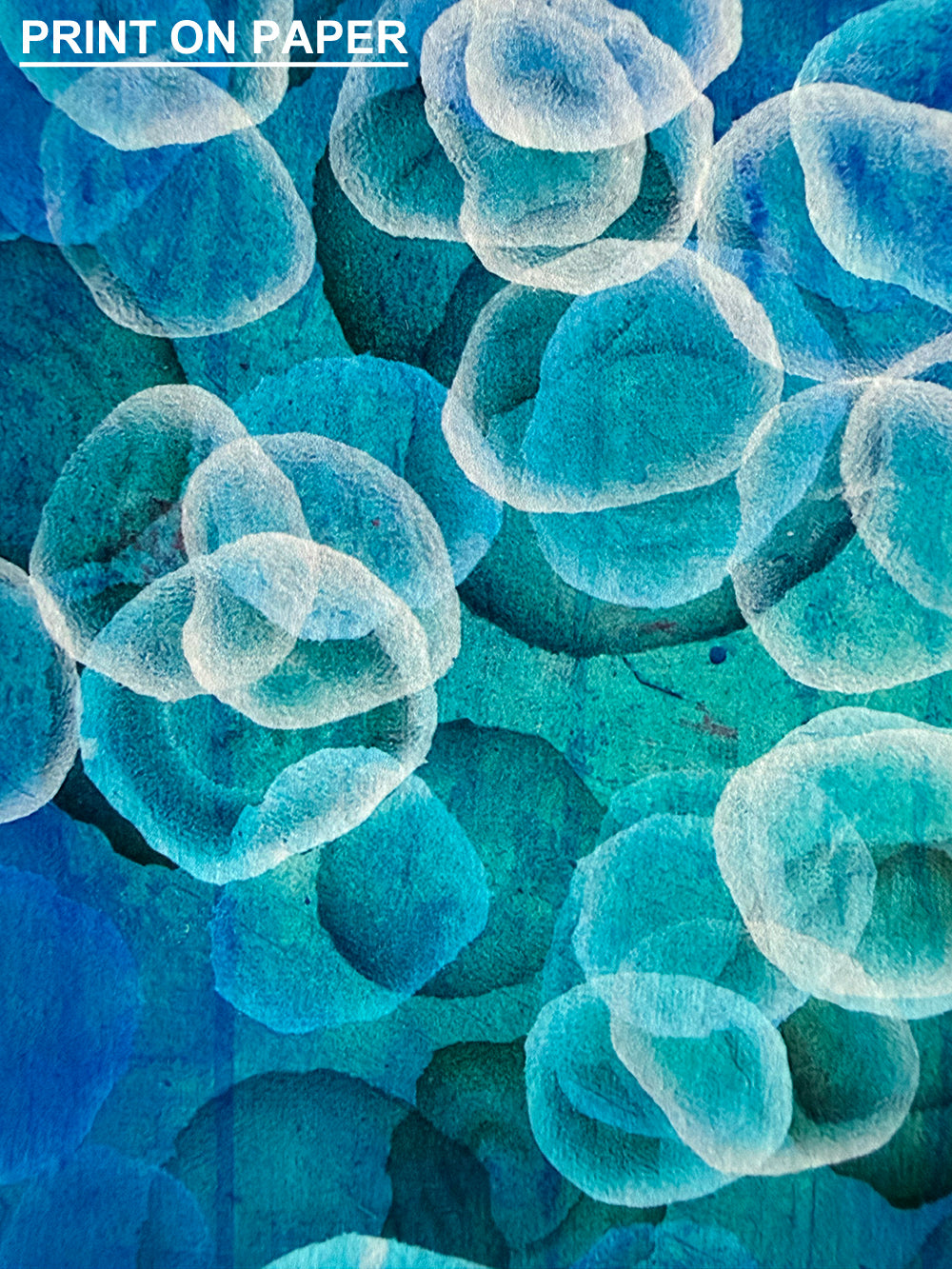 Aqueous Pulse IV — Limited Edition Fine Art Print