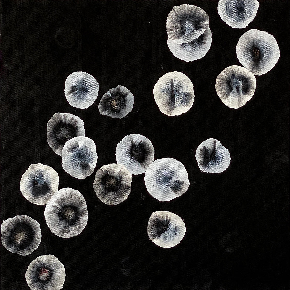 Orbicular Bloom XVII - Abstract Monochrome Painting
