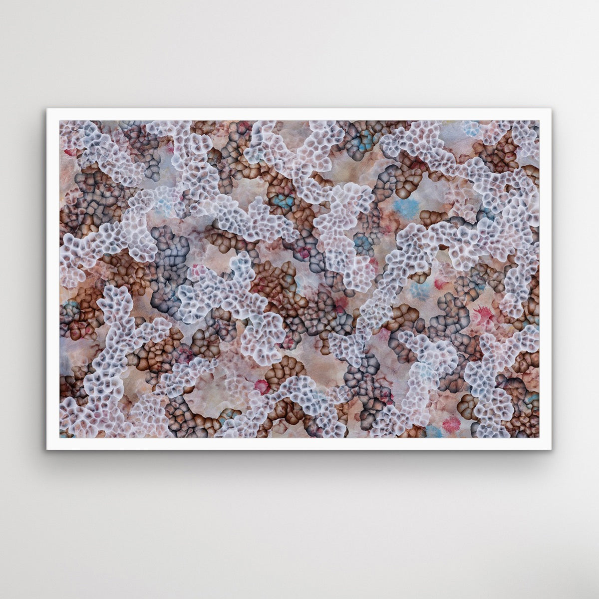 Rock Pool Blooms I — Limited Edition Fine Art Print